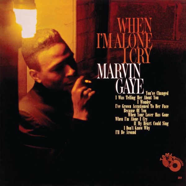 Marvin Gaye - When I'm Alone I Cry album cover