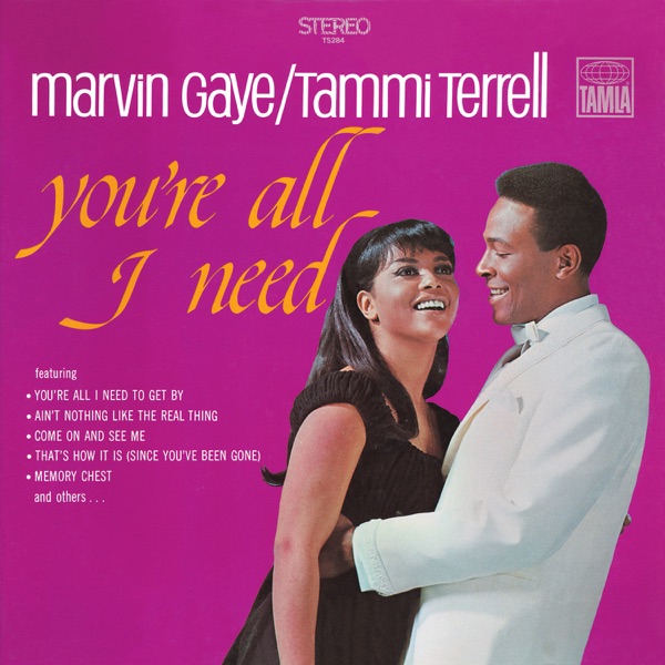 Marvin Gaye - You're All I Need album cover